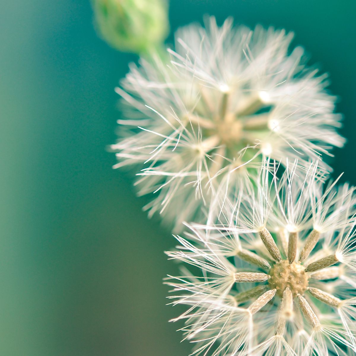 Week End de révisions 